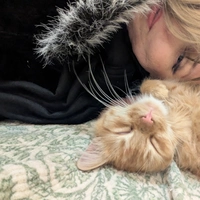 Looking for a roommate in Nassau County, Suffolk West - Long Island