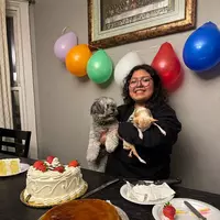 Looking for a roommate in Central, Far North Side, North Side, Northwest Side - Chicago