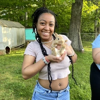 Looking for a roommate in Central, Far North Side, Chicago Burbs - Chicago