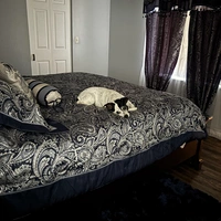 Cuarto en Renta en Boynton Beach - Palm Beach County, Miami