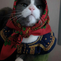 Room for rent in Downtown Indianapolis - Central Indy, Indianapolis