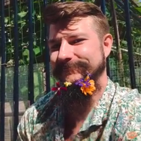 Buscando compañero de cuarto en Manhattan, Brooklyn - New York