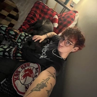 Looking for a roommate in Central Charlotte - Charlotte