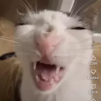 Looking for a roommate in Central Los Angeles, Westside / South Bay, The Harbor, San Fernando Valley, Southeast, The Verdugos, Orange County, San Gabriel Valley, Ventura, Inland Empire - Los Angeles