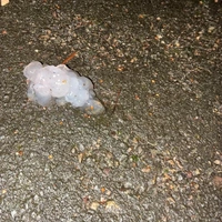 Looking for a roommate in Downtown TO, York Region, Durham Region, East TO, West TO, Midtown TO - Toronto