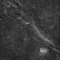 Buscando compañero de cuarto en Central Charlotte, North Charlotte, South Charlotte, East Charlotte, West Charlotte - Charlotte