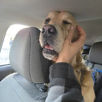 Looking for a roommate in South Denver, Outer Denver - Denver