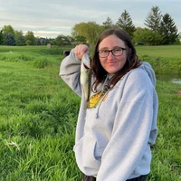 Looking for a roommate in Chicago Burbs - Chicago