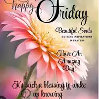 Looking for a roommate in Brooklyn, Queens, The Bronx - New York