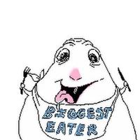 Room for rent in North Oakland - Central Pitt, Pittsburgh