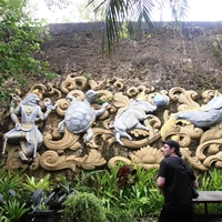 Looking for a roommate in Downtown TO, West TO - Toronto