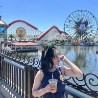 Looking for a roommate in Central Los Angeles, Westside / South Bay - Los Angeles