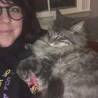 Buscando compañero de cuarto en Manhattan, Brooklyn, Queens, Staten Island, The Bronx, Jersey City / Hoboken - New York