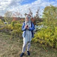 Looking for a roommate in Boston, Cambridge, Somerville - Boston