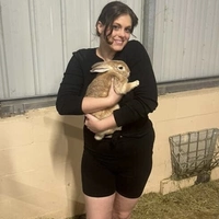 Looking for a roommate in Clearwater-St. Petersburg - Tampa