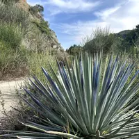 Looking for a roommate in Central Los Angeles, Southeast, The Verdugos, San Gabriel Valley - Los Angeles