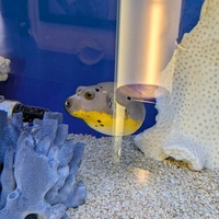 Looking for a roommate in Manhattan, Brooklyn - New York