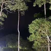 Looking for a roommate in East Atl, North Atl - Atlanta