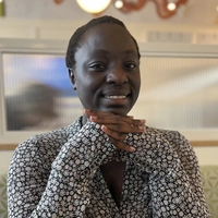 Looking for a roommate in San Francisco, East Bay, Peninsula, North Bay, South Bay, Santa Cruz, Contra Costa County - San Francisco