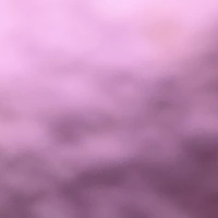 Looking for a roommate in Downtown TO, East TO, West TO, Midtown TO - Toronto