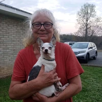 Looking for a roommate in Central Charlotte, North Charlotte, South Charlotte, East Charlotte, West Charlotte - Charlotte