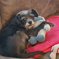 Looking for a roommate in Center Denver, North Denver, East Denver, West Denver, South Denver, Outer Denver - Denver