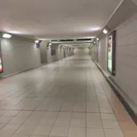 Looking for a roommate in Se Houston - Houston