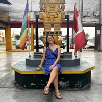 Looking for a roommate in Center Denver, North Denver, East Denver, West Denver, South Denver - Denver