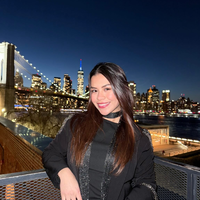 Looking for a roommate in Manhattan, Brooklyn, Queens - New York