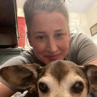 Looking for a roommate in Central Louisville, East Louisville, Outer Louisville - Louisville