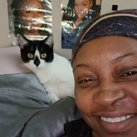 Looking for a roommate in Central Charlotte, North Charlotte, South Charlotte - Charlotte