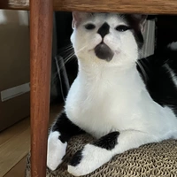 Buscando compañero de cuarto en Manhattan, Brooklyn, Queens, Staten Island - New York