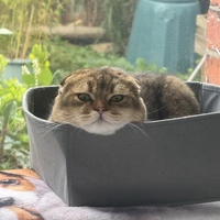 Buscando compañero de cuarto en Miami, Miami Beach, Miami Dade - Miami