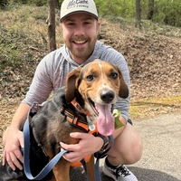 Looking for a roommate in Central Nashville, South Nashville, West Nashville, Outer Nashville - Nashville