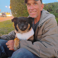 Buscando compañero de cuarto en Ne Dallas, Nw Dallas, Sw Dallas - Dallas