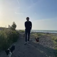 Buscando compañero de cuarto en San Francisco - San Francisco