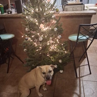 Room for rent in Winter Park - North Orlando, Orlando