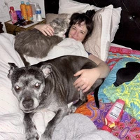 Buscando compañero de cuarto en Manhattan, Brooklyn, Jersey City / Hoboken - New York