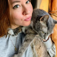 Looking for a roommate in Manhattan, Brooklyn, Queens, The Bronx, Jersey City / Hoboken - New York