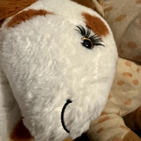 Looking for a roommate in Inner Loop - Houston