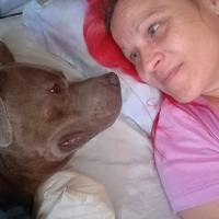 Looking for a roommate in Phoenix, SW Valley, NE Valley, SE Valley, Pinal County - Phoenix