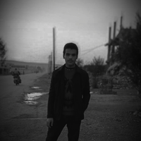 Looking for a roommate in Downtown Gainesville, UF Area, NW Gainesville, West Gainesville, Archer - Gainesville