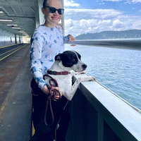 Looking for a roommate in East Side - Seattle