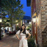 Looking for a roommate in Center Denver - Denver