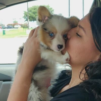 Looking for a roommate in Manhattan, Brooklyn - New York