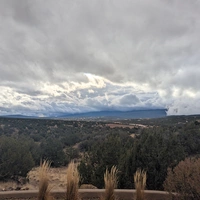 Looking for a roommate in Central ABQ, Eastside ABQ, SE ABQ - Albuquerque