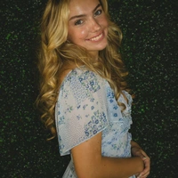 Looking for a roommate in North Tampa - Tampa