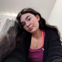 Buscando compañero de cuarto en Inner Loop, Ne Houston, Nw Houston, Se Houston, Sw Houston, West Houston - Houston