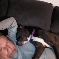 Room for rent in West Allis - West / SW Mil, Milwaukee