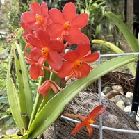 Looking for a roommate in Broward County, Miami Beach, Miami Dade - Miami